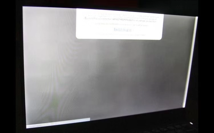 LCD Burn in 2