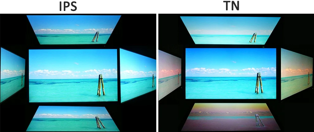 TN vs IPS - What's The Difference